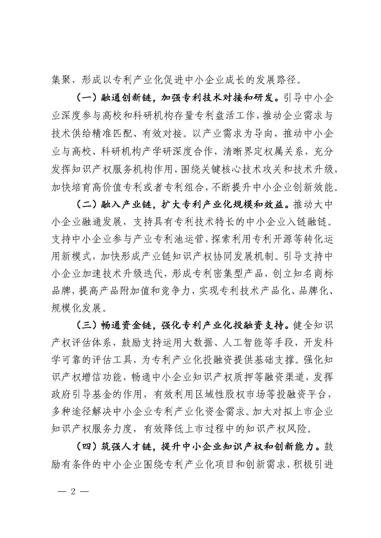 专利产业化促进中小企业成长计划实施方案