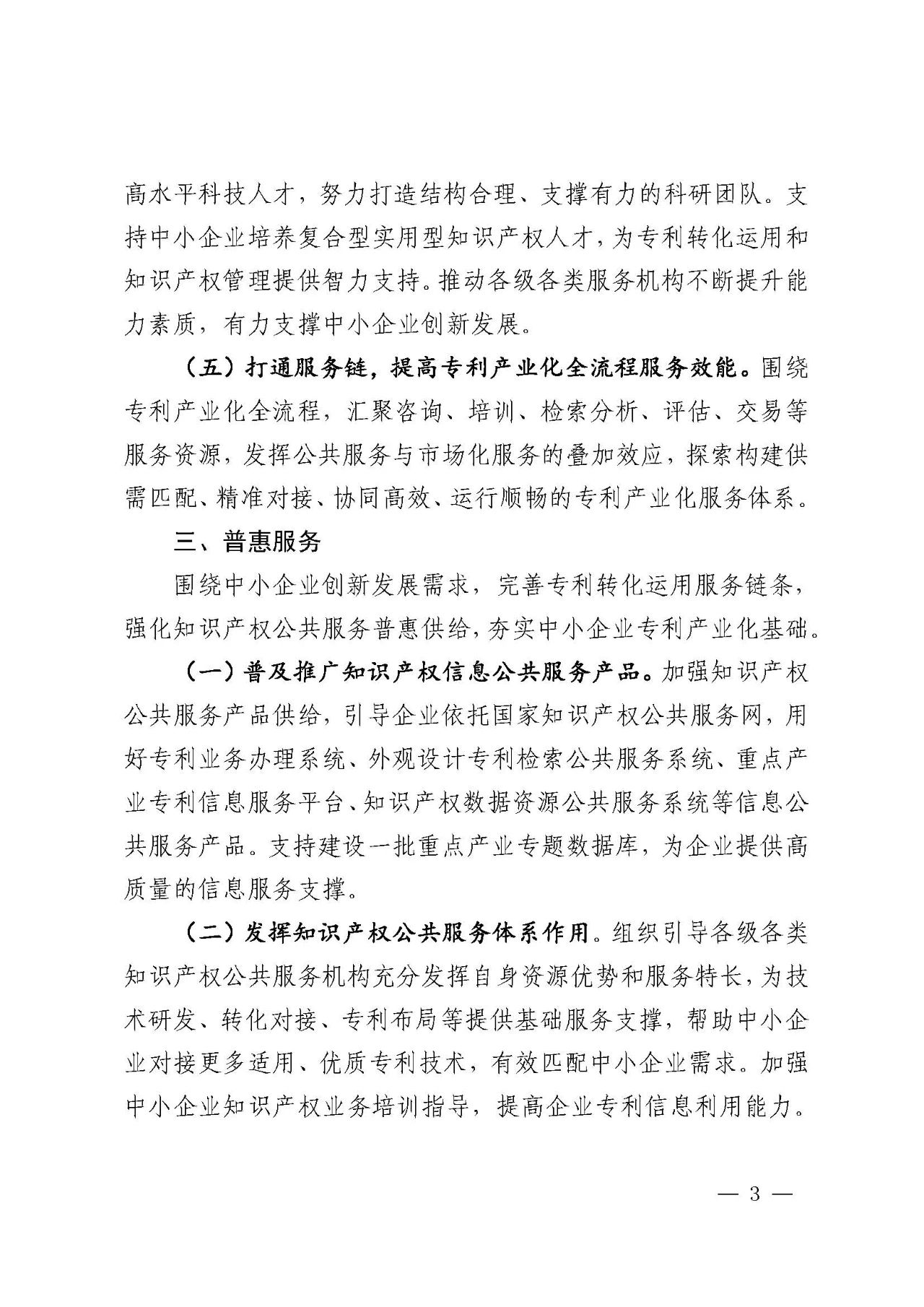 专利产业化促进中小企业成长计划实施方案