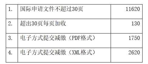 PCT申请国际阶段 PCT申请国际阶段